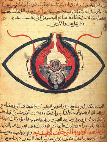 Représentation anatomique de l'oeil sous l'islam médiéval